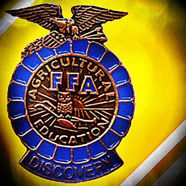 FFA Discovery